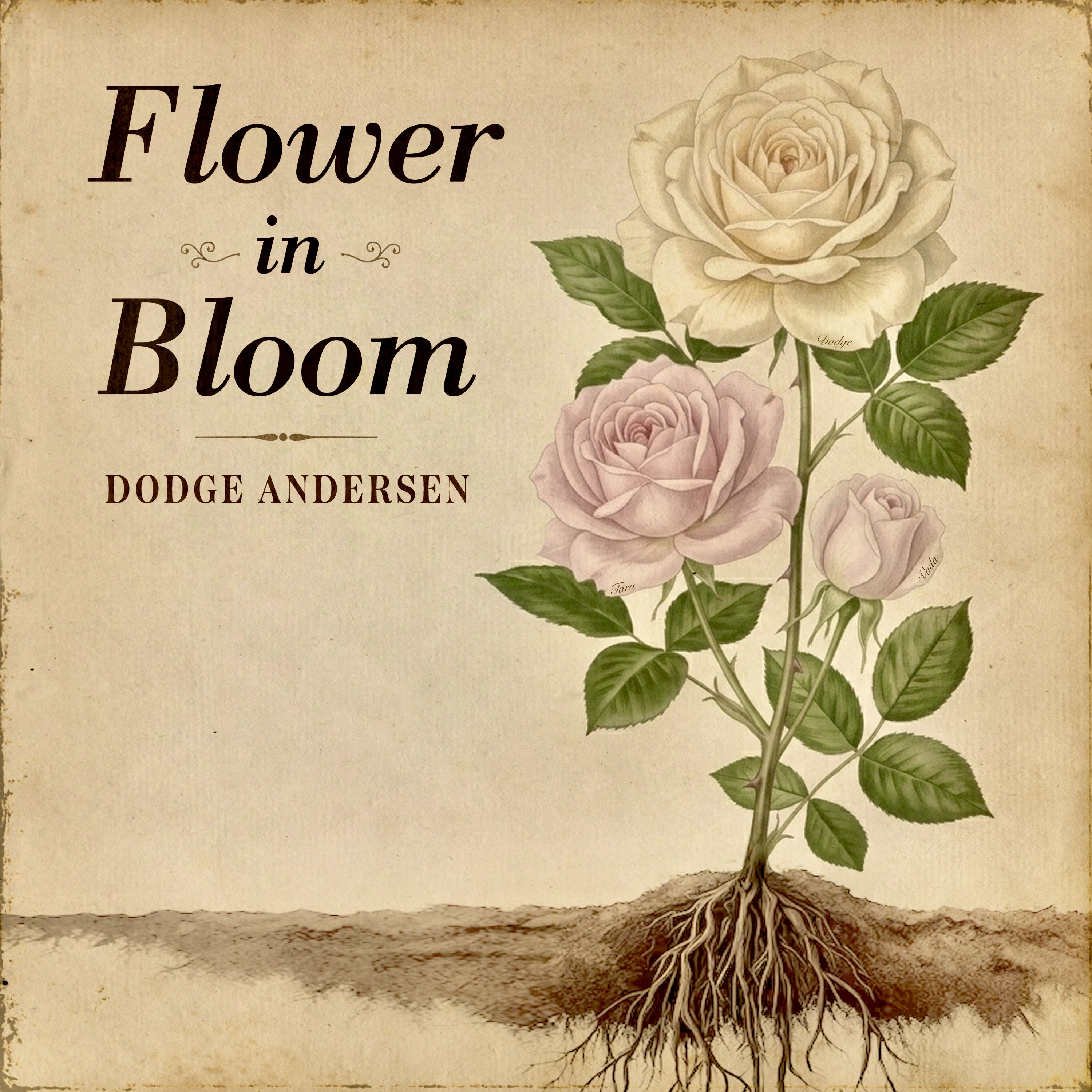 Flower in Bloom cover art by Dodge Andersen